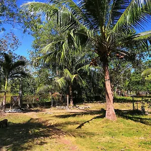 Walkerz Auberge de jeunesse Panglao